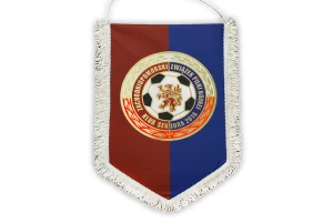 Pennants — AttacoSport project
