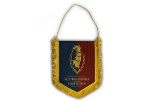 Pennants — AttacoSport project