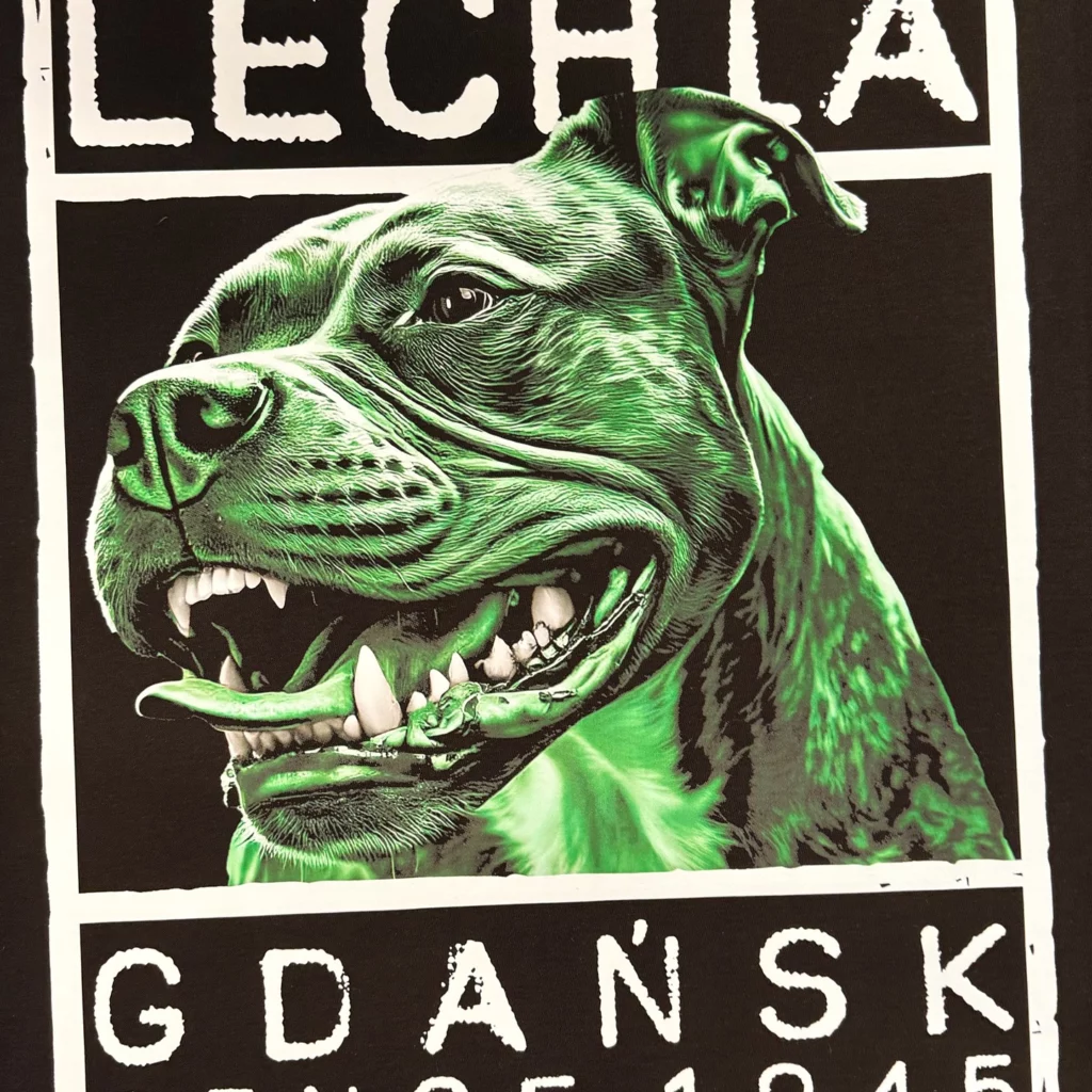 Tryck till Lechia Gdańsks supportrar