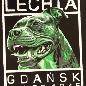 Druck für Fans von Lechia Gdańsk