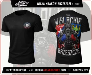 T-Shirts für Wisła Kraków FC Brzeszcze